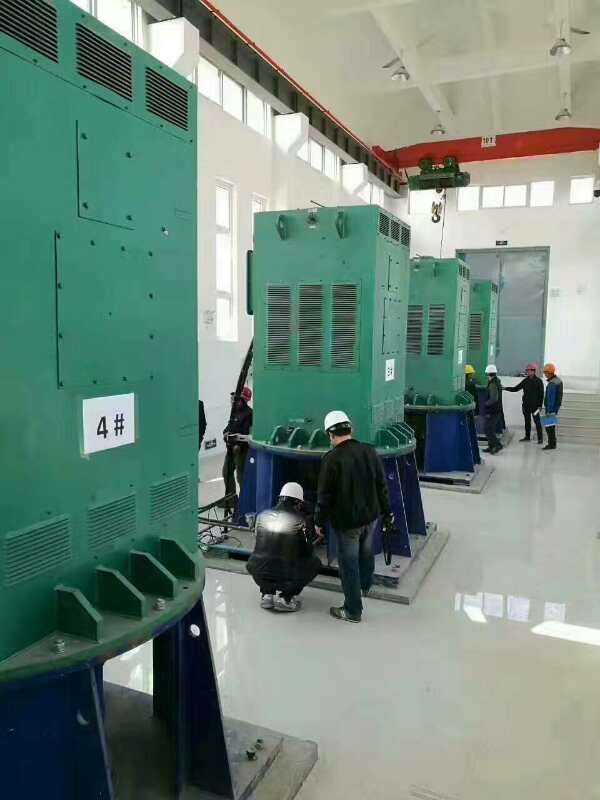 兴宁某污水处理厂使用我厂的立式高压电机安装现场